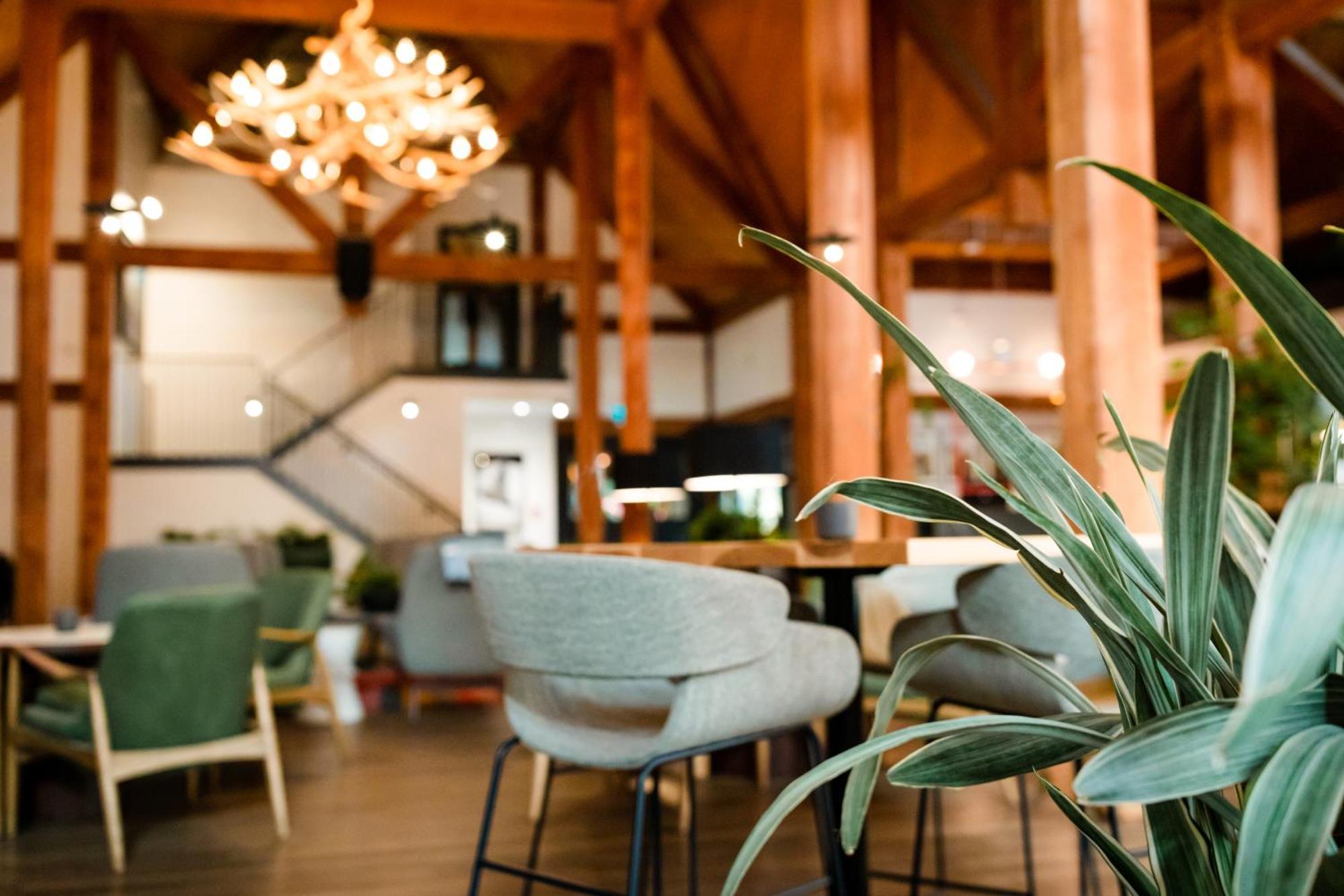 Buffalo Mountain Lodge Банф Екстериор снимка